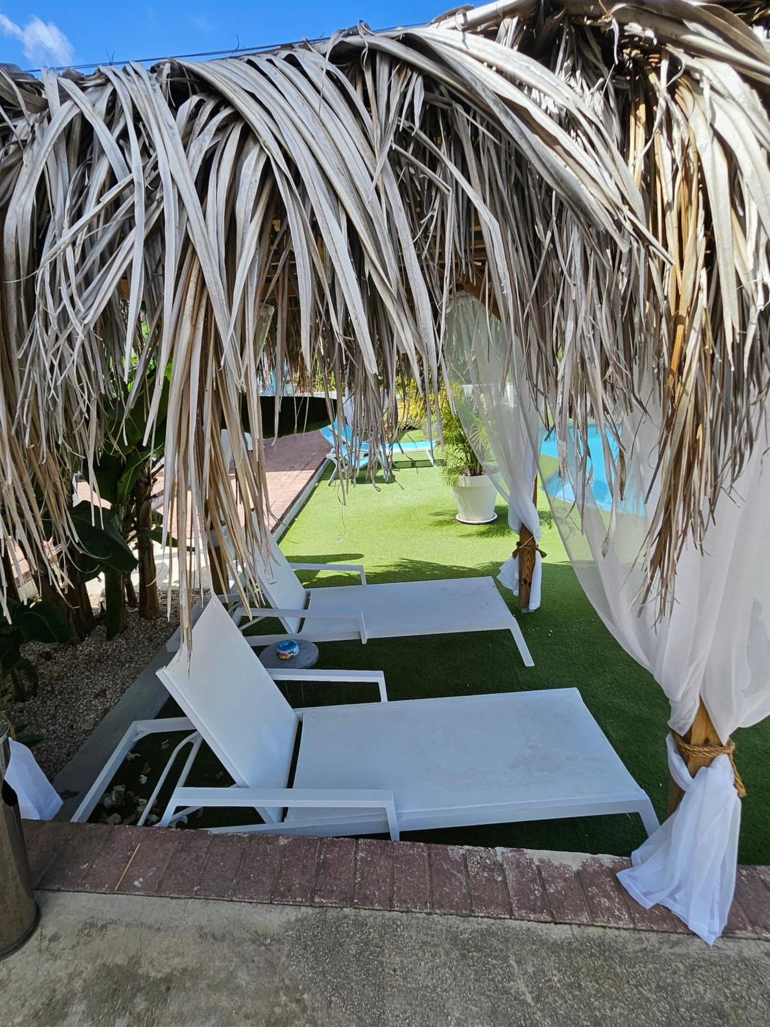 וילמסטאד Villa Raven'S Paradise מראה חיצוני תמונה